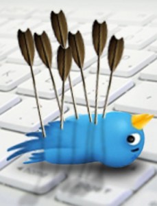 how to get the TWITTER BIRD I Roblox Promo Code